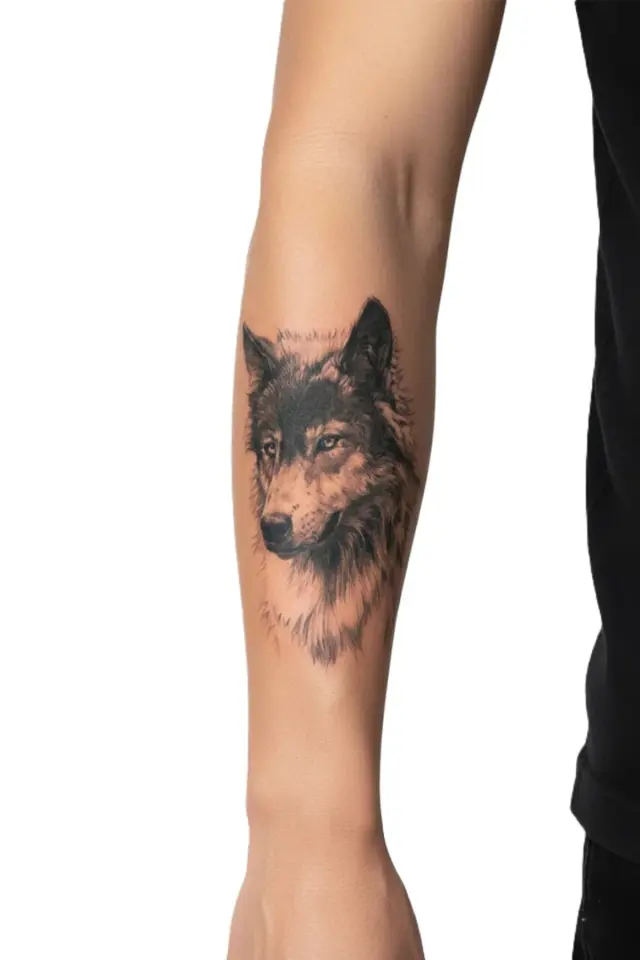 Orta Boy Dövme TH-107