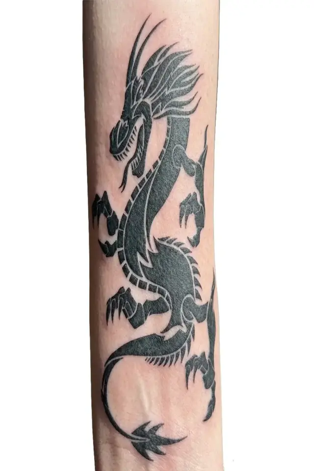 Orta Boy Dövme TBS-8056