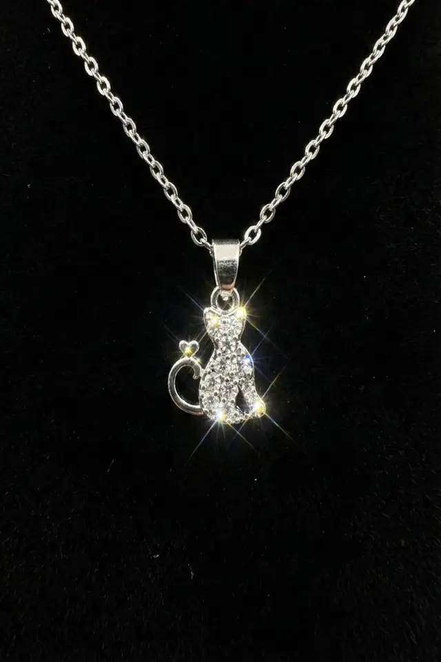 Çelik Kolye CKL-025