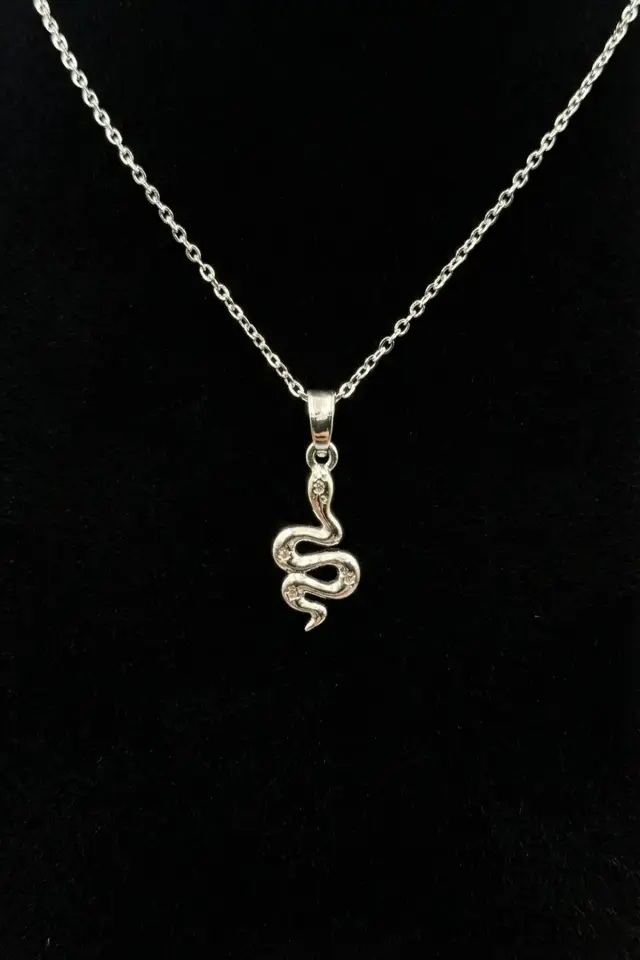 Çelik Kolye CKL-029