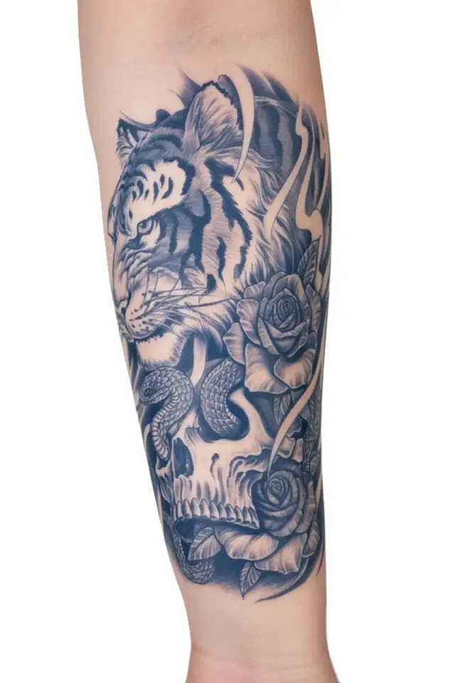 Orta Boy Dövme GZ-1081