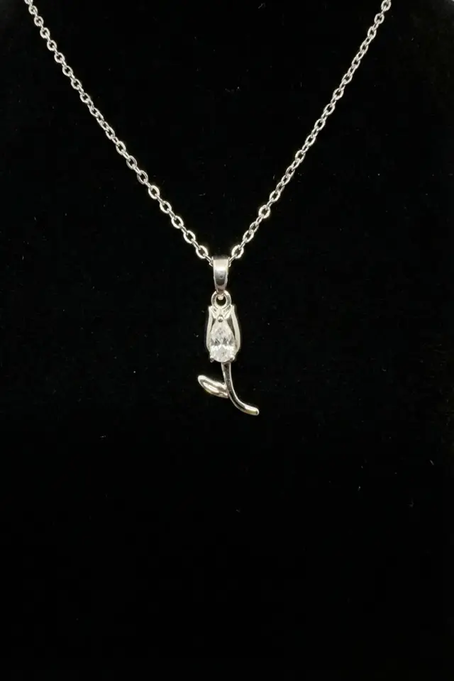 Çelik Kolye CKL-071